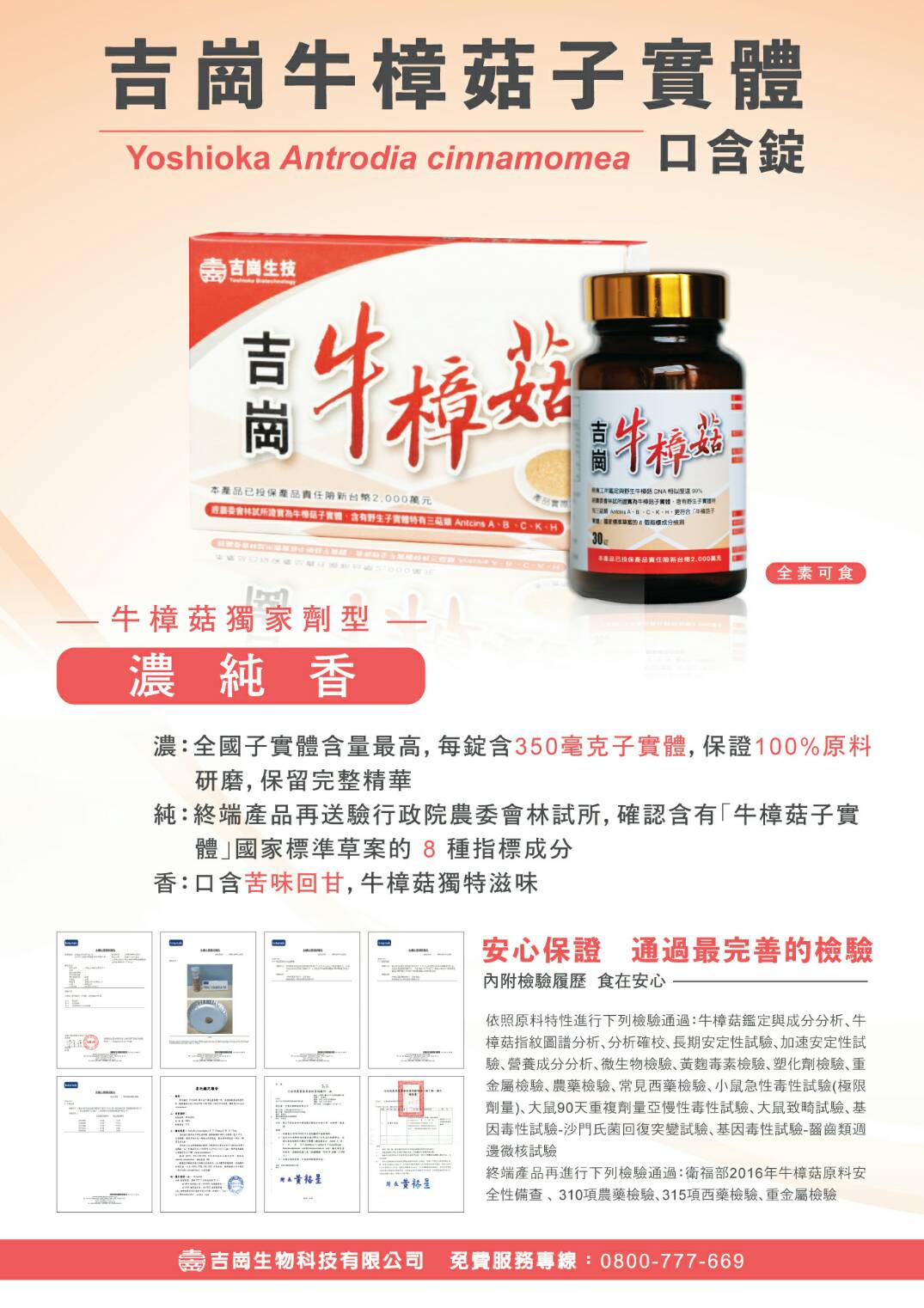 吉崗牛樟菇