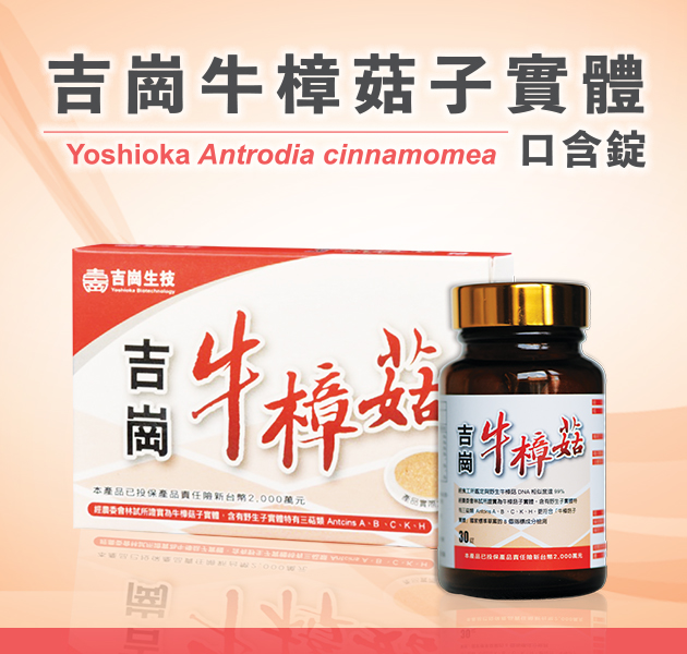 台灣牛樟菇
