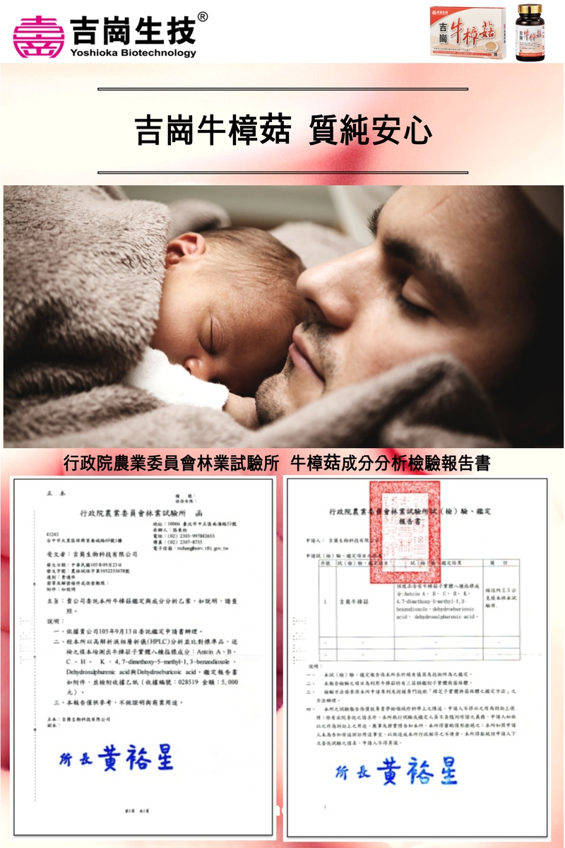 吉崗牛樟菇  質純安心