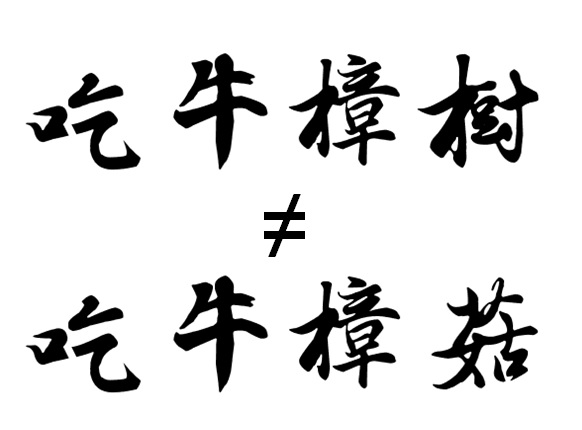 吃牛樟樹  ≠  吃牛樟菇